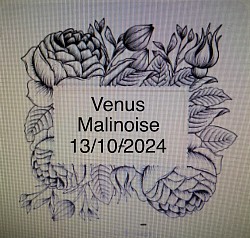 Gravure personnalisée