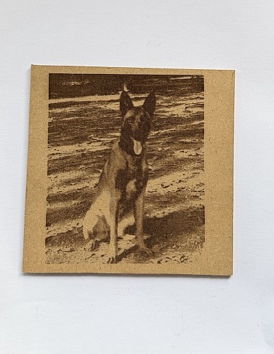 Gravure sur plaque en bois, personnalisée 8€