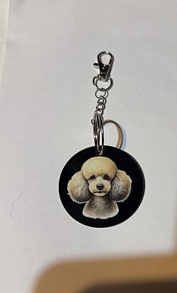 Porte-clés avec photo de chien,6€