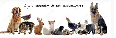 Photo de groupe d’animaux