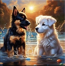 diamond painting  30cm X 30cm 15€ numéro 33 3D